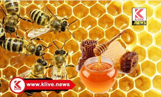 Department of Horticulture ಝೇಂಕಾರ” ಬ್ರ್ಯಾಂಡ್ ನಲ್ಲಿ ಜೇನುತುಪ್ಪ ಉತ್ಪಾದಕರು ಮಾರುಕಟ್ಟೆ ಅವಕಾಶ ಬಳಸಿಕೊಳ್ಳಲು ಇಲಾಖೆ ಮಾಹಿತಿ