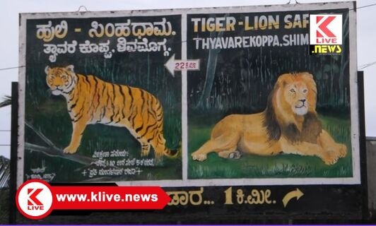 Tiger and Lion Safari ಸಂಕ್ರಾಂತಿ ಹಬ್ಬದಂದೂ ಹುಲಿಸಿಂಹ ಧಾಮ ಓಪನ್. ಮೃಗಾಲಯದ ಅಧಿಕೃತ ಪ್ರಕಟಣೆ