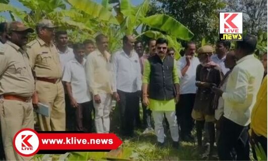 Gopalakrishna Belur ಆನೆ ದಾಳಿಯಿಂದ ಬೆಳೆ ನಷ್ಟ ರೈತರಿಗೆ ಪರಿಹಾರ ನೀಡಿ: ಗೋಪಾಲಕೃಷ್ಣ ಬೇಳೂರು