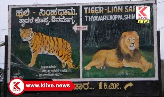 Tiger and Lion Safari ಪ್ರವಾಸಿಗರೇ..ಏಪ್ರಿಲ್ 1 ರಂದೂ ಕೂಡ (ಮಂಗಳವಾರ) ಹುಲಿ ಸಿಂಹಧಾಮ ನೋಡಲು ಓಪನ್