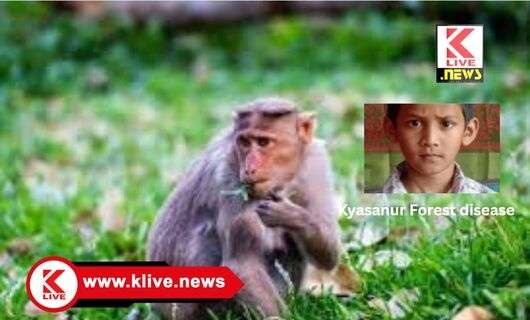 Kyasanur Forest disease ಕೆ ಎಫ್ ಡಿ ಕಾಯಿಲೆ ಕ್ಯಾಸನೂರು ಅರಣ್ಯ‌ಕಾಯಿಲೆಗೆ ಮತ್ತೊಂದು ಜೀವ‌ಬಲಿ!