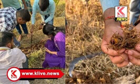 The Nut Research Centre ಅಡಿಕೆಗೆ ಕೆಂಪು ಮೂತಿ ಹುಳುಕಾಟದ ಸಮಸ್ಯೆ‌,  ‌ನಿರ್ವಹಣಾ ಮಾಹಿತಿ – ಡಾ.ನಾಗರಾಜ ಅಡಿವಪ್ಪರ್