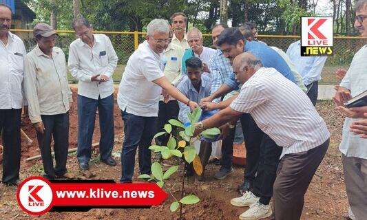Shivamogga News ಪರಿಸರ ಮಾಸದ ವಿಶೇಷವಾಗಿ “ಕಾಡಾ” ದಿಂದ ಗಿಡ ನೆಡುವ ಚಟುವಟಿಕೆ