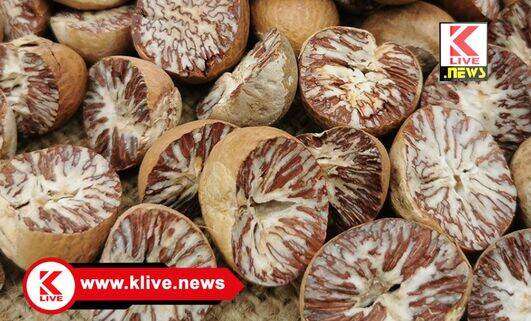 Department of Horticulture ಅಡಿಕೆಯಲ್ಲಿ ಕೊಳೆರೋಗ ಕಾರಣ & ನಿಯಂತ್ರಣ, ತೋಟಗಾರಿಕೆ ಇಲಾಖೆಯಿಂದ ಮಾಹಿತಿ