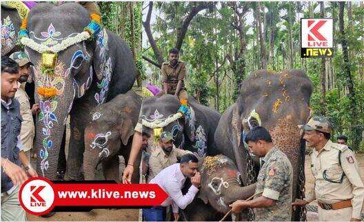 World Elephant Day ಆನೆ ಮರಿಗಳಿಗೆ ಸಕ್ರೆಬೈಲಿನ ಬಿಡಾರದಲ್ಲಿ”ನಾಮಕರಣ” ಮಹೋತ್ಸವ