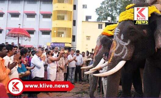 Shivamogga Dasara ದಸರಾ ಅಂಬಾರಿಗೆ ಸಜ್ಜಾಗಿ ಬಂದ ಗಜಪಡೆಗೆ ಸ್ವಾಗತ ಕೋರಿದ ಶಾಸಕ ಚನ್ನಬಸಪ್ಪ