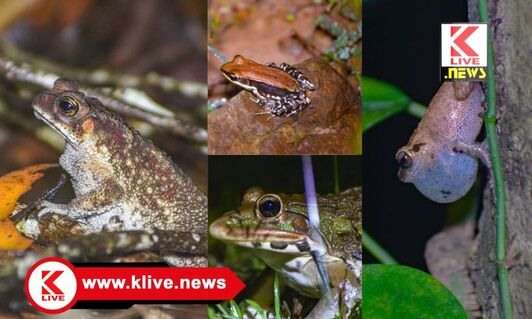 Dr. Amit Hegde ಜನರಿಗೆ & ಕೃಷಿಕರಿಗೆ ಜೀವ ವೈವಿಧ್ಯತೆಯ ಅರಿವು ಮೂಡಿಸಬೇಕಿದೆ- ಡಾ.ಅಮಿತ್ ಹೆಗಡೆ