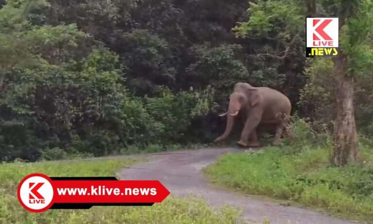 ಆಗುಂಬೆಯ ಮಲ್ಲಂದೂರಿನಲ್ಲಿ ಕಾಡಾನೆ ಪ್ರತ್ಯಕ್ಷ ಸ್ಥಳಿಯರಲ್ಲಿ ಆತಂಕ