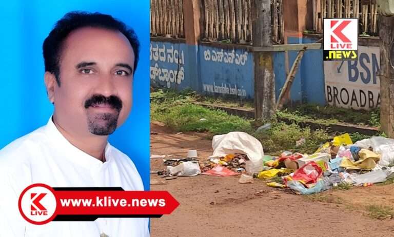 ಸೊರಬದ ಡಾ. ಬಿ.ಆರ್. ಅಂಬೇಡ್ಕರ್ ಬಡಾವಣೆಯಲ್ಲಿ ಎಲ್ಲೆಂದರಲ್ಲಿ ಕಸದ ರಾಶಿ