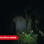 ಮತ್ತೆ ಕಾಡುತ್ತಿರುವ ಕಾಡಾನೆ ಸುಳಿದಾಟ, ಮಲೆಶಂಕರ, ಪುರದಾಳು ಗ್ರಾಮಸ್ಥರಲ್ಲಿ ಮೂಡಿದ ಆತಂಕ