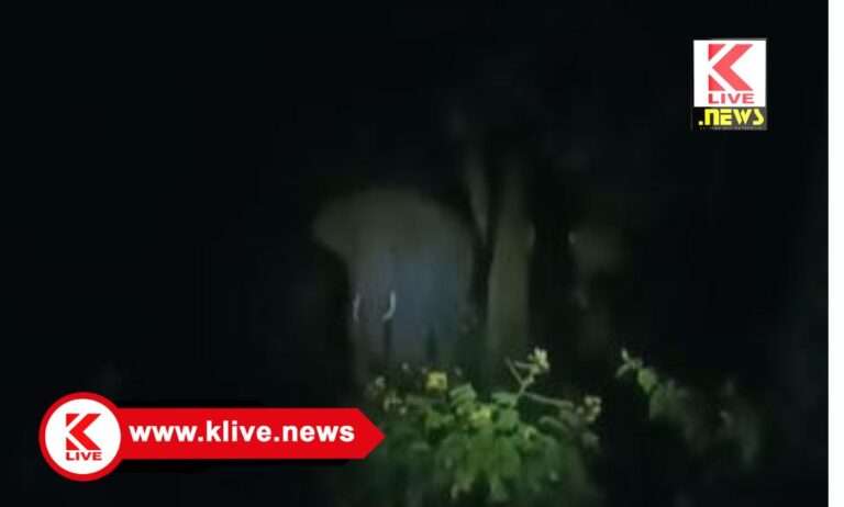 Breaking News ಮತ್ತೆ ಕಾಡುತ್ತಿರುವ ಕಾಡಾನೆ ಸುಳಿದಾಟ,  ಮಲೆಶಂಕರ, ಪುರದಾಳು ಗ್ರಾಮಸ್ಥರಲ್ಲಿ ಮೂಡಿದ ಆತಂಕ