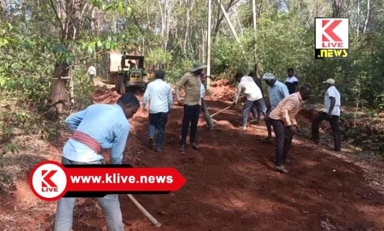 ಗ್ರಾಮಸ್ಥರಿಂದಲೇ ಗೌಡಕೊಪ್ಪ- ದೊಡ್ಲಿಮನೆ ಸಂಪರ್ಕ ರಸ್ತೆ ನಿರ್ಮಾಣ
