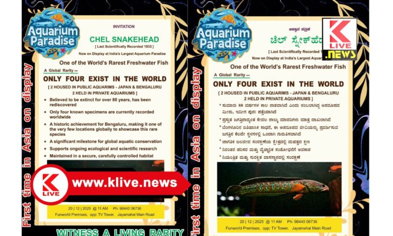 ಪ್ರವಾಸಿ ಆಕರ್ಷಣೆ ಪಡೆದ ” ಚೆಲ್ ಸ್ನೇಕ್ ಹೆಡ್” ಮೀನು