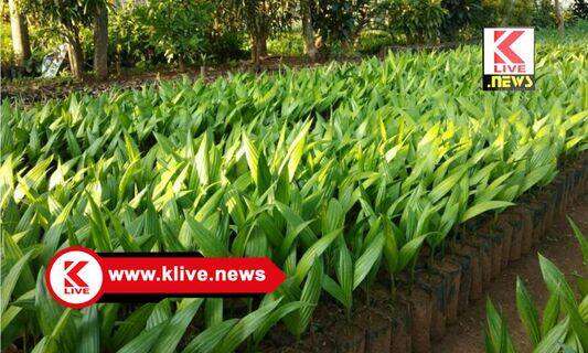 Areca Garden Shimoga ಅತೀ ಕನಿಷ್ಠ ವಿಮೆ ಹಣ ಪರಿಹಾರ. ಸೂಕ್ತ ಪರಿಹಾರಕ್ಕೆ ಹಕ್ಕೋತ್ತಾಯ ಮಾಡಲು ಸಂಘಟನೆಯ ಕರೆ.