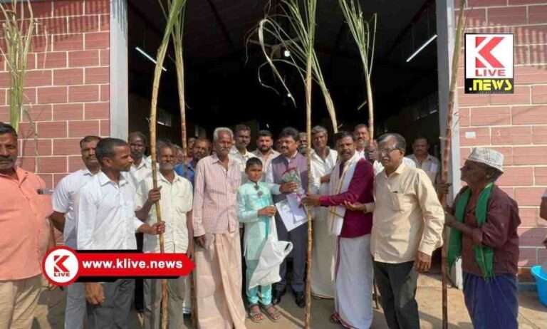 ಅಭಿಮಾನಿ ಮಿತ್ರರೊಂದಿಗೆ ಸಂಕ್ರಾತಿ ಸಂಭ್ರಮದಲ್ಲಿ ಪಾಲ್ಗೊಂಡ ಸಂಸದ ರಾಘವೇಂದ್ರ