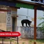 ಶಿವಮೊಗ್ಗ ವಿಮಾನ ನಿಲ್ದಾಣಕ್ಕೆ ಜಾಂಬವಂತನ ದಿಢೀರ್ ಭೇಟಿ!.