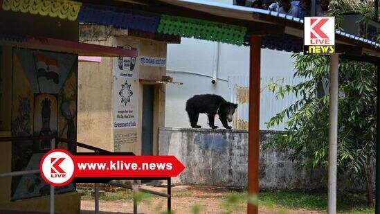 ಶಿವಮೊಗ್ಗ ವಿಮಾನ ನಿಲ್ದಾಣಕ್ಕೆ ಜಾಂಬವಂತನ ದಿಢೀರ್ ಭೇಟಿ!.