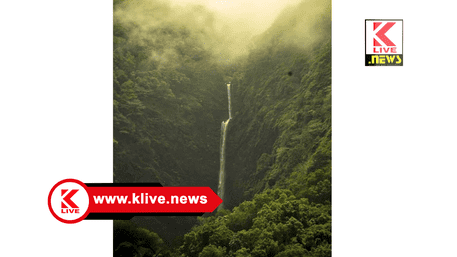 International Day of Forests ಉತ್ತಮ ಗಾಳಿ,ನೀರು,ಬೆಳಕು ದೊರೆಯಲು ಅರಣ್ಯ ಉಳಿಸಬೇಕು- ಬಿ.ವೈ‌.ರಾಘವೇಂದ್ರ.