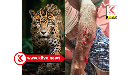 Cheetah Attack ಮುತ್ತಗಿ ಗ್ರಾಮದ ರೈತನ ಮೇಲೆ ಚಿರತೆ ಹಠಾತ್ ದಾಳಿ. ಮೆಗ್ಗಾನ್ ಆಸ್ಪತ್ರೆಗೆ ರೈತ ದಾಖಲು.