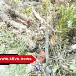 ಶಿವಮೊಗ್ಗದ ಎಲ್ ಬಿ ಎಸ್ ನಗರದಲ್ಲಿ ಶ್ರೀಗಂಧ ಮರ ಕಡಿತಲೆ. ಕ್ರಮ ಕೈಗೊಳ್ಳಲು ನಿವಾಸಿಗಳ ಆಕ್ರೋಶ.