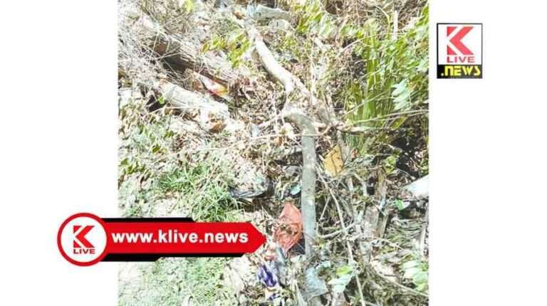 Sandalwood Trees ಶಿವಮೊಗ್ಗದ ಎಲ್ ಬಿ ಎಸ್ ನಗರದಲ್ಲಿ ಶ್ರೀಗಂಧ ಮರ ಕಡಿತಲೆ. ಕ್ರಮ ಕೈಗೊಳ್ಳಲು ನಿವಾಸಿಗಳ ಆಕ್ರೋಶ.