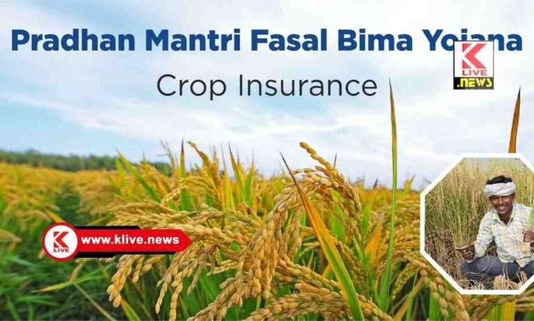 ಮೆಕ್ಕೆಜೋಳ ಬೆಳೆಗೆ ವಿಮೆ ಪರಿಹಾರ ಪಡೆಯದ ರೈತರು ಆಕ್ಷೇಪಣೆ ಸಲ್ಲಿಸಲು ಅವಕಾಶ