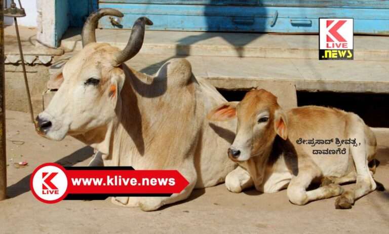 Klive Special Article ಬದುಕಿನ ಪುಟದಲ್ಲೊಂದು ಘಟನೆ