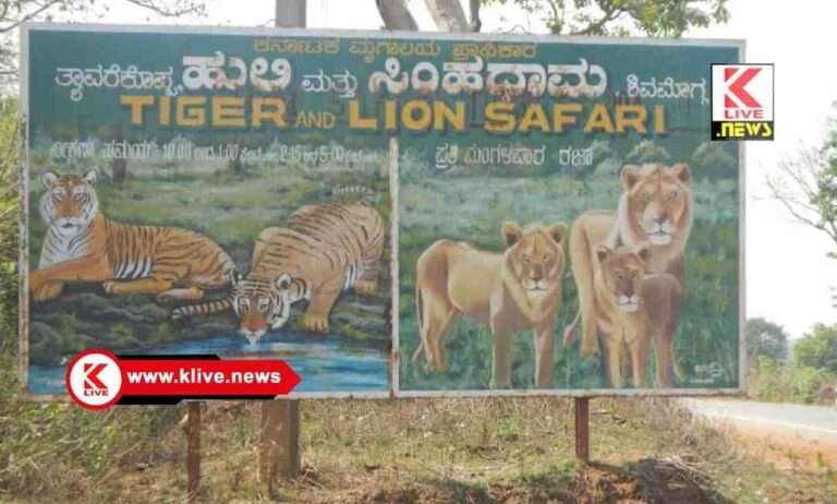 ಬೇಸಿಗೆ ರಜೆ ವಿಶೇಷವಾಗಿ ಪ್ರವಾಸಿಗರ ಅನುಕೂಲಕ್ಕೆ ಮೇ26 ಮಂಗಳವಾರ ಹುಲಿಸಿಂಹ ಧಾಮ ಓಪನ್.