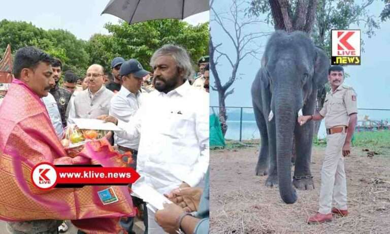 ಸಕ್ರೆಬೈಲು ಆನೆ ಬಿಡಾರದ ಆನೆ “ಭೀಷ್ಮ”ನ ಮಾವುತ ಸಿದ್ದಿಕ್ ಪಾಷಾ ನಿಧನ