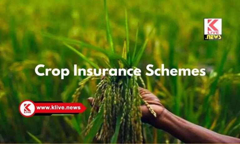 ಹವಾಮಾನ ಆಧಾರಿತ ಬೆಳೆವಿಮೆ ಯೋಜನೆ ಬಗ್ಗೆ ಕೃಷಿಕರಿಗಾಗಿ ಇಲ್ಲಿದೆ ಮಾಹಿತಿ