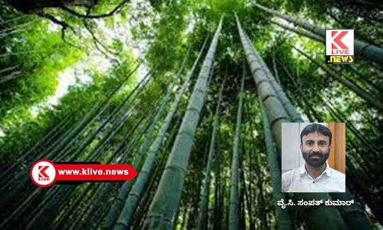 Klive Special Article ಬರದ ನೆರಳಿನಲ್ಲಿ ಬದುಕು                                ಲೇ: ವೈ.ಸಿ.ಸಂಪತ್ ಕುಮಾರ್