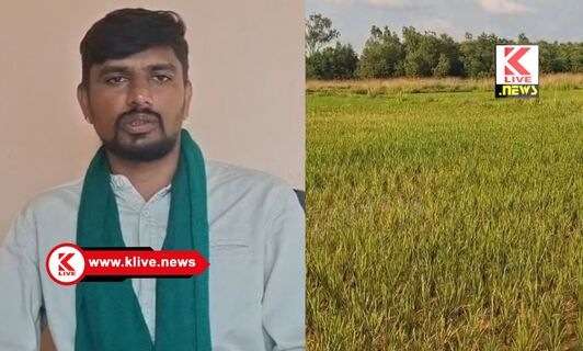 ಬರ ಪರಿಹಾರಕ್ಕೆ ರೈತರ ಆಕ್ರೋಶ: ₹25-30 ಸಾವಿರ ಖರ್ಚಿನ ಬೆಳೆಗೆ ₹2,500 ಪರಿಹಾರವೆಷ್ಟು ನ್ಯಾಯ?